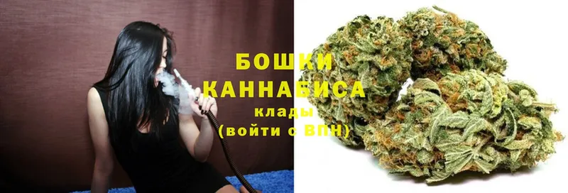 Бошки марихуана планчик  купить  цена  Новоалександровск 